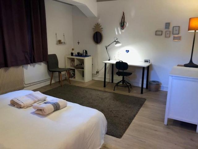 Chambre indépendante aux pied des Pyrénées Billere Extérieur photo